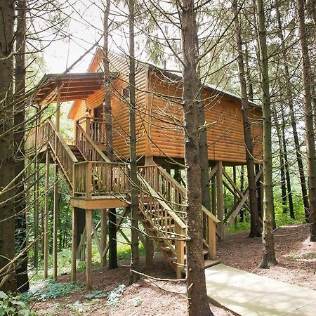 Whispering Pines Treehouse By Amish Country Lodging Millersburg Buitenkant foto