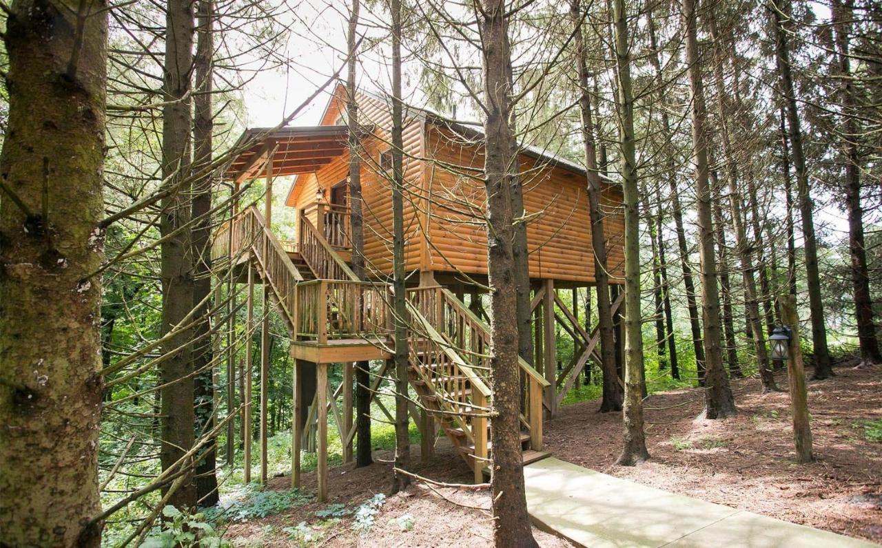 Whispering Pines Treehouse By Amish Country Lodging Millersburg Buitenkant foto